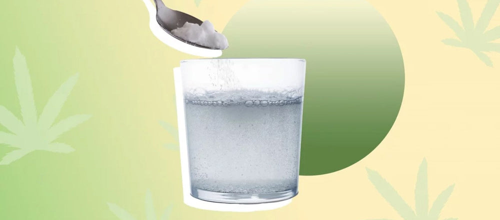 The 5 Best Water Soluble Hemp Products That Can Be Mixed Into Your Favorite Drink