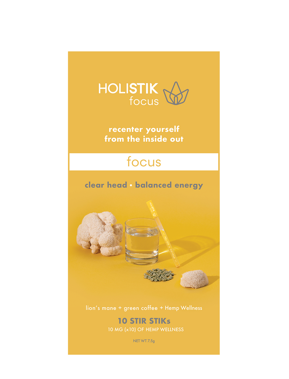 HOLISTIK focus